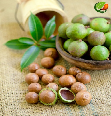 186513630_2974315682845872_7469641199082909703_n