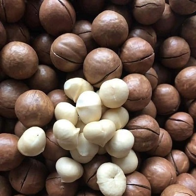 220054500_113639207678463_19606389835666990_n